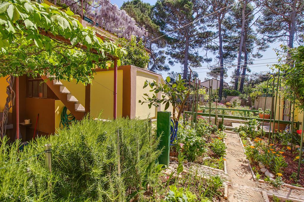 Apartments Petra Мали-Лошинь Экстерьер фото